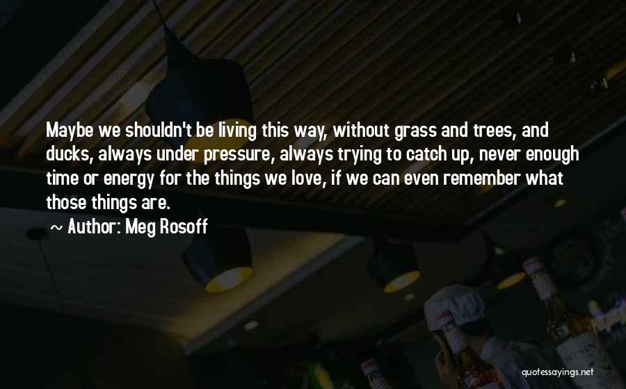 Trying To Catch Up Quotes By Meg Rosoff