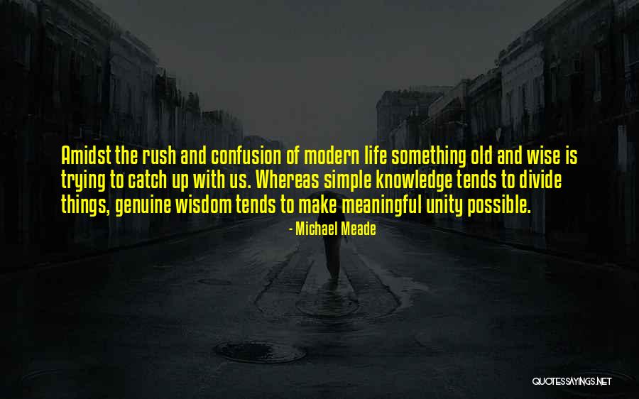 Trying To Catch Up Quotes By Michael Meade Trying To Catch Up Quotes By Michael Meade