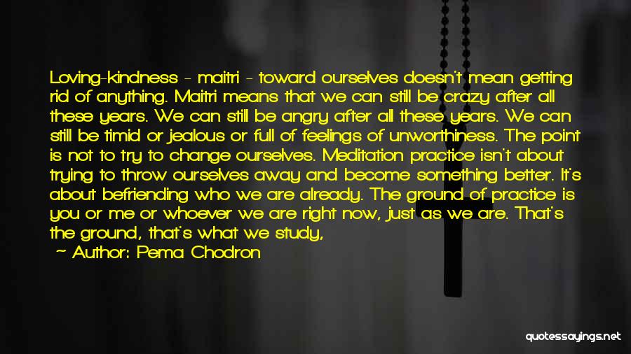 Trying To Change Me Quotes By Pema Chodron