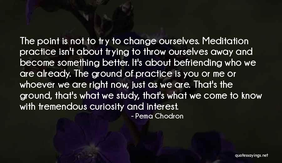 Trying To Change Me Quotes By Pema Chodron Trying To Change Me Quotes By Pema Chodron