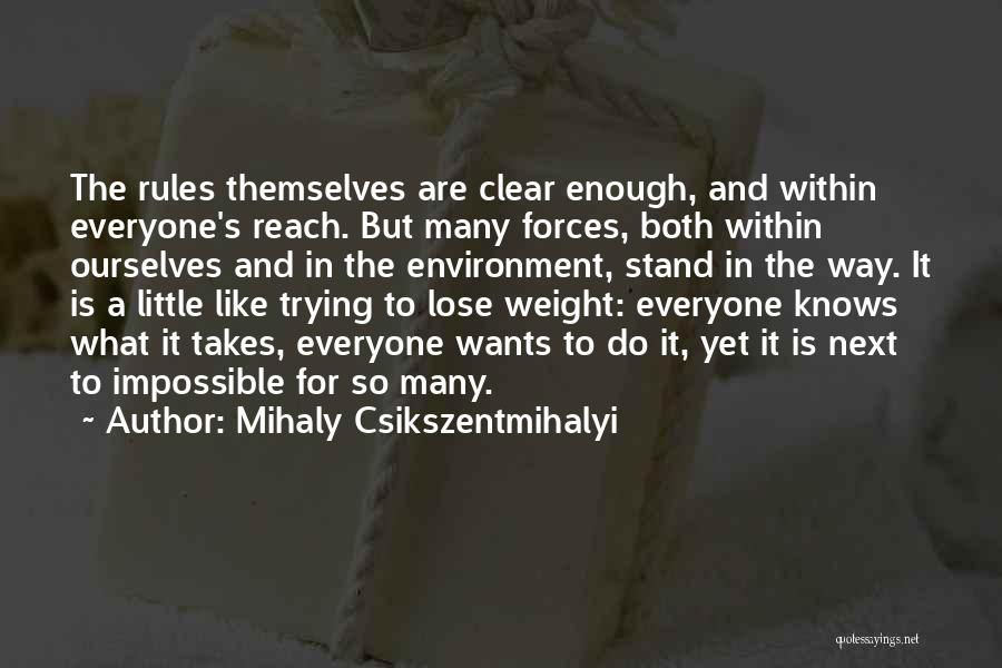 Trying To Do The Impossible Quotes By Mihaly Csikszentmihalyi