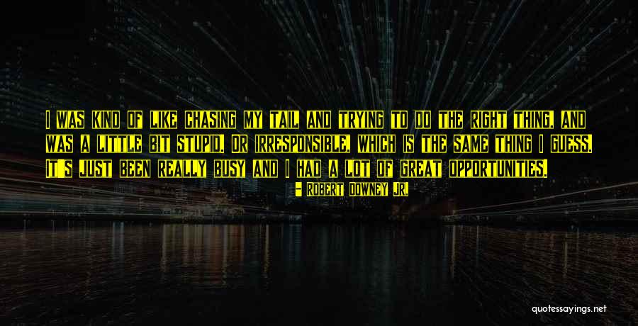 Trying To Do The Right Thing Quotes By Robert Downey Jr. Trying To Do The Right Thing Quotes By Robert Downey Jr.