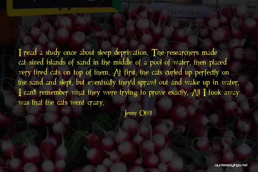 Trying To Do Too Many Things At Once Quotes By Jenny Offill Trying To Do Too Many Things At Once Quotes By Jenny Offill