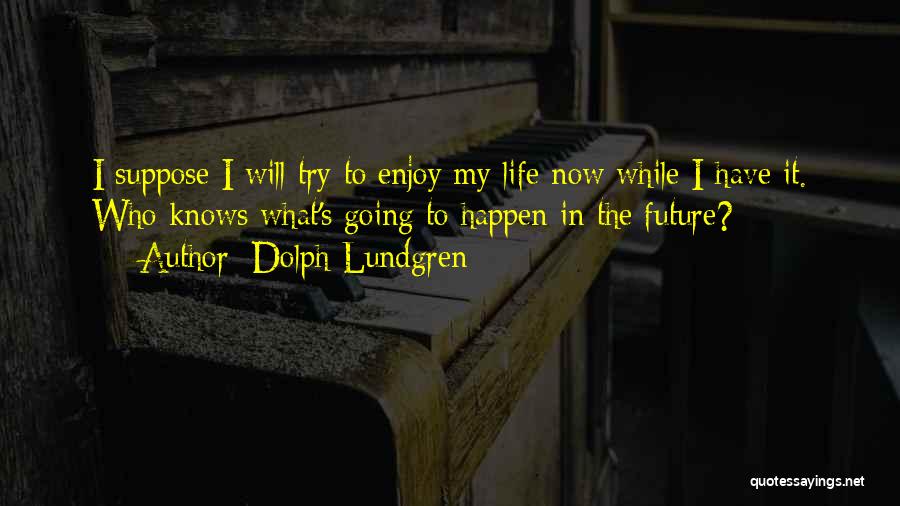 Trying To Enjoy Life Quotes By Dolph Lundgren