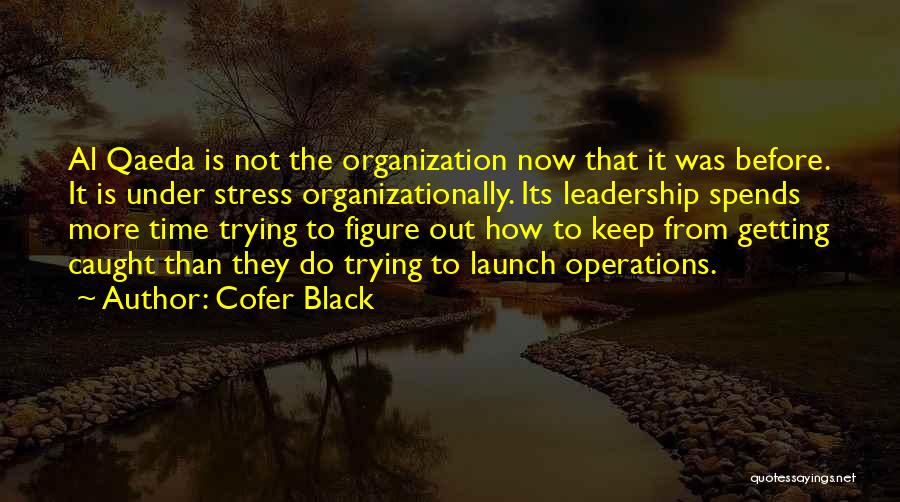 Trying To Figure Yourself Out Quotes By Cofer Black