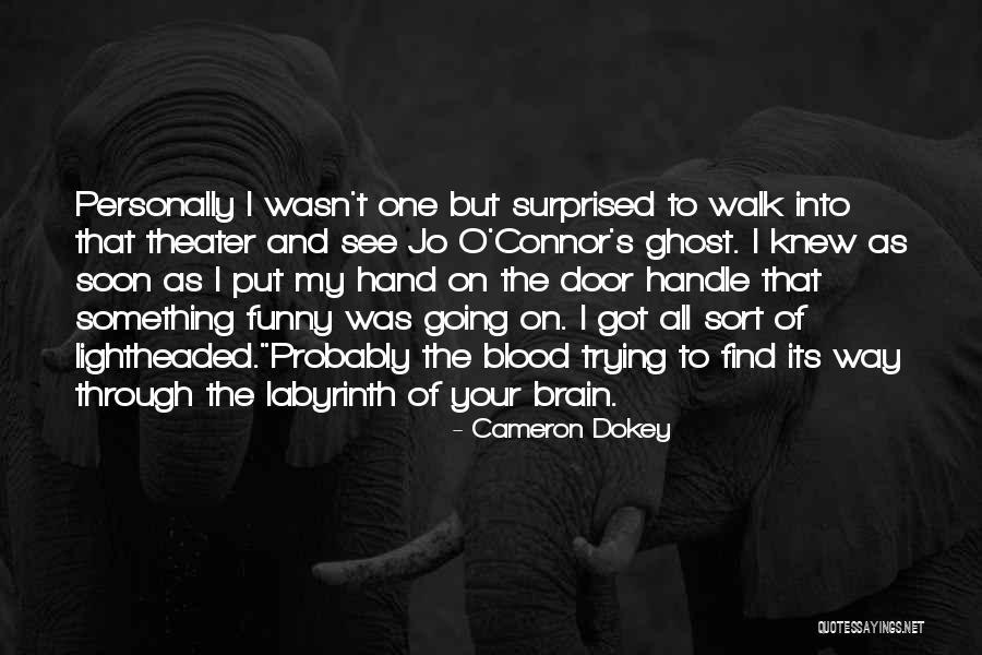 Trying To Find Your Way Quotes By Cameron Dokey Trying To Find Your Way Quotes By Cameron Dokey
