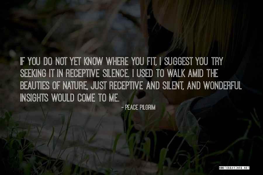 Trying To Fit In Quotes By Peace Pilgrim Trying To Fit In Quotes By Peace Pilgrim