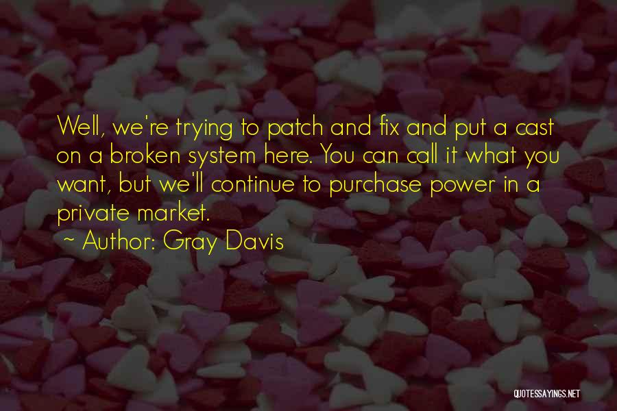 Trying To Fix Something Broken Quotes By Gray Davis