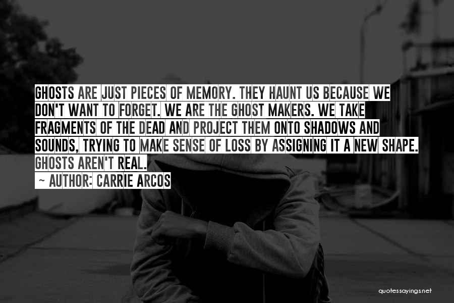 Trying To Forget My Past Quotes By Carrie Arcos