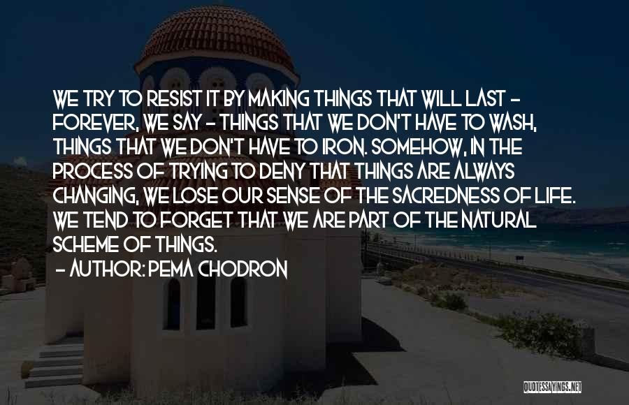 Trying To Forget You But Can't Quotes By Pema Chodron