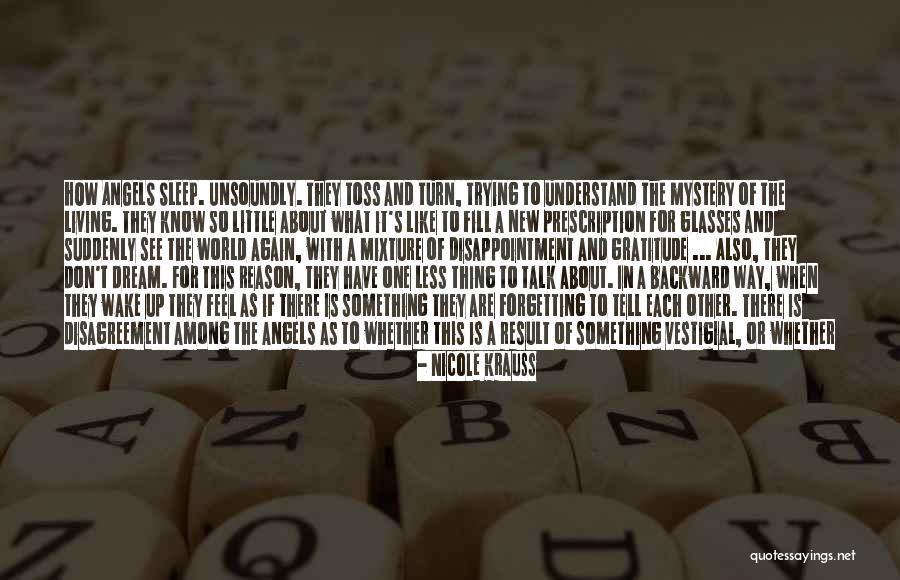 Trying To Get Some Sleep Quotes By Nicole Krauss Trying To Get Some Sleep Quotes By Nicole Krauss
