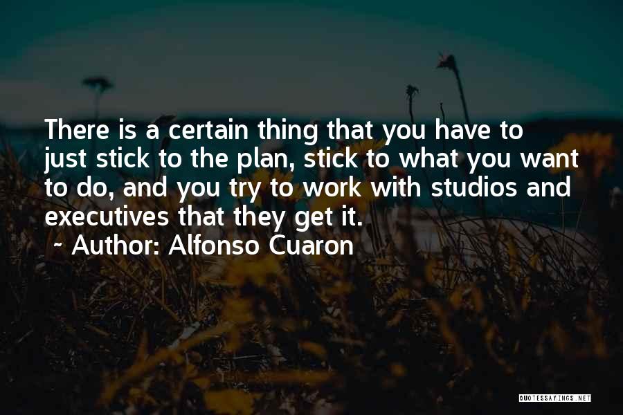 Trying To Get What You Want Quotes By Alfonso Cuaron