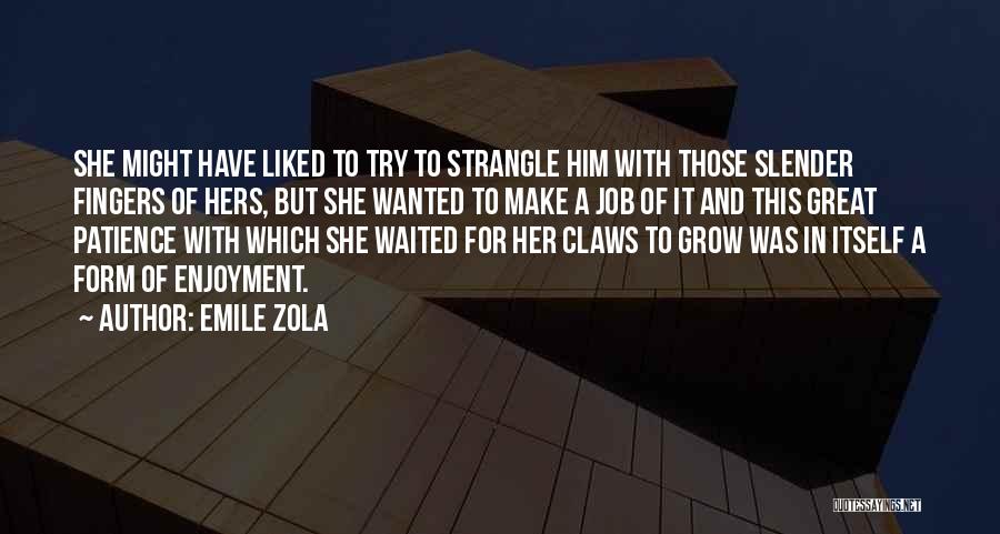 Trying To Have Patience Quotes By Emile Zola