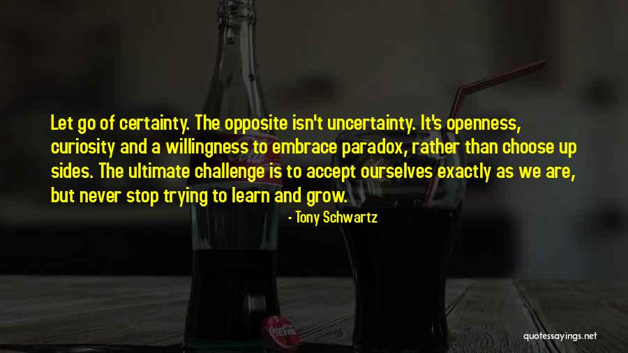 Trying To Let Go Quotes By Tony Schwartz Trying To Let Go Quotes By Tony Schwartz