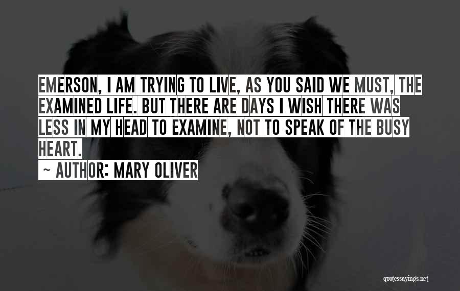 Trying To Live Life Quotes By Mary Oliver