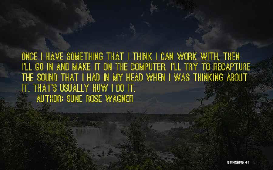 Trying To Make It Work Quotes By Sune Rose Wagner