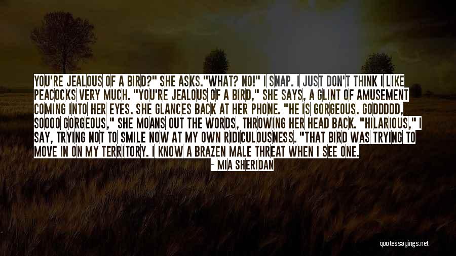 Trying To Move On Quotes By Mia Sheridan Trying To Move On Quotes By Mia Sheridan