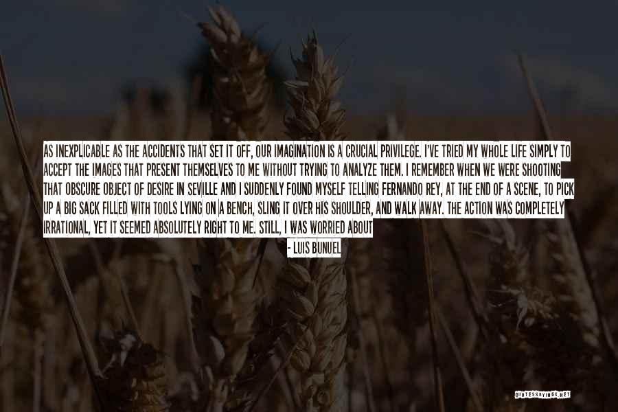 Trying To Pick Yourself Up Quotes By Luis Bunuel Trying To Pick Yourself Up Quotes By Luis Bunuel