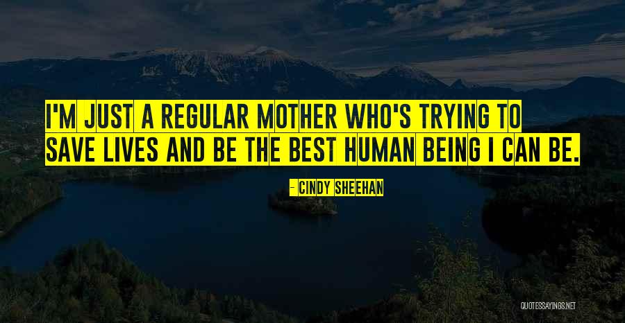 Trying To Save Someone Quotes By Cindy Sheehan Trying To Save Someone Quotes By Cindy Sheehan