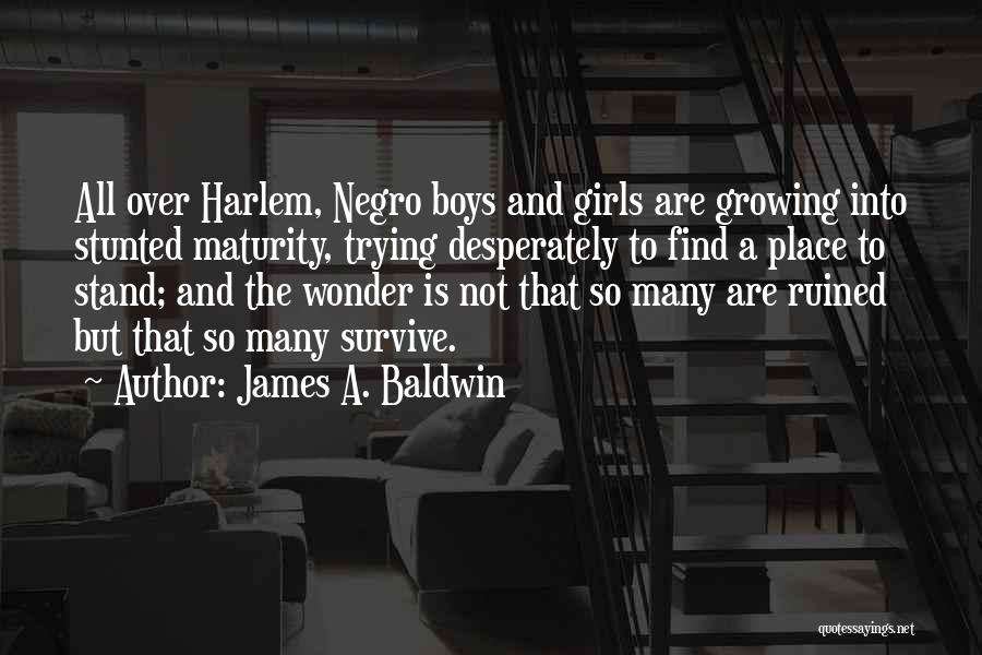 Trying To Survive Quotes By James A. Baldwin