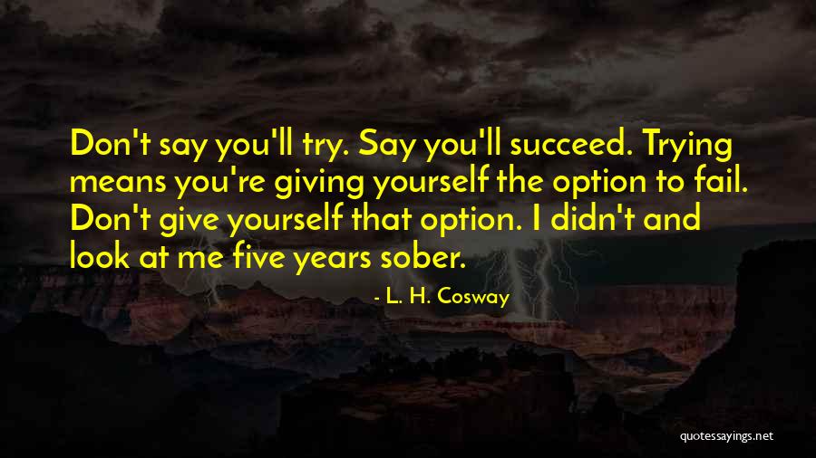 Trying Until You Succeed Quotes By L. H. Cosway