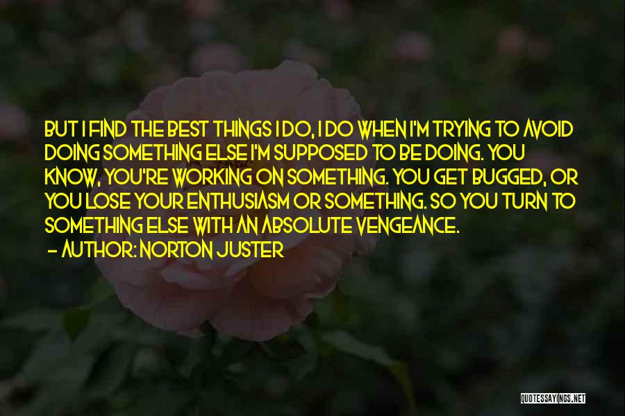 Trying Your Best Quotes By Norton Juster