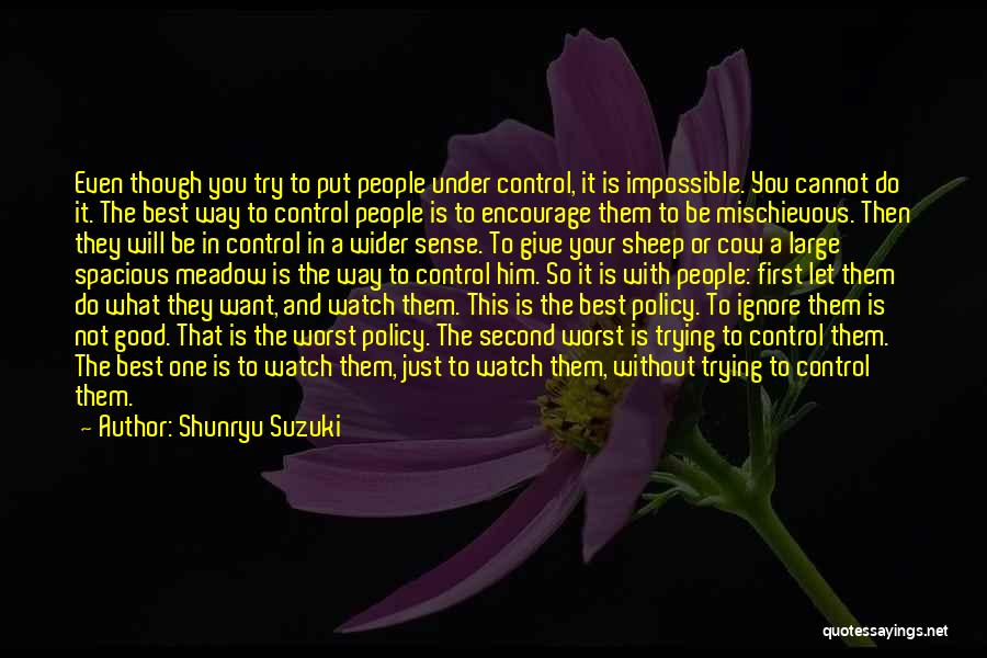 Trying Your Best Quotes By Shunryu Suzuki