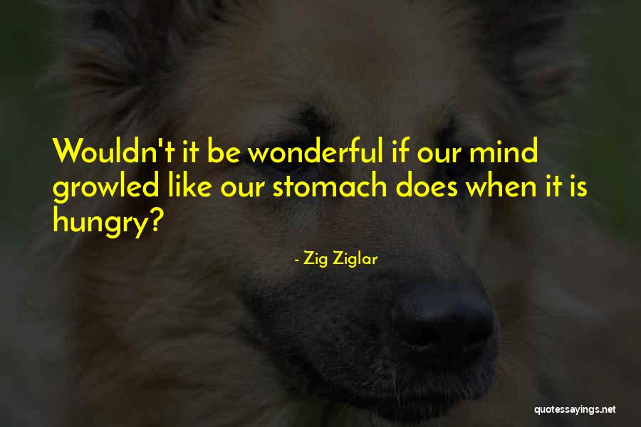 Tsalikis Concert Quotes By Zig Ziglar Tsalikis Concert Quotes By Zig Ziglar
