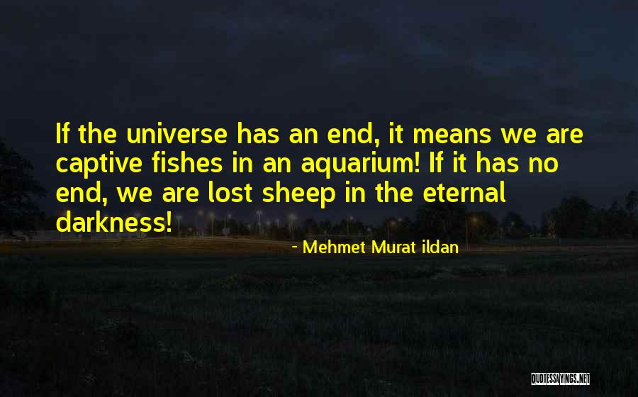 Tsampa Flour Quotes By Mehmet Murat Ildan Tsampa Flour Quotes By Mehmet Murat Ildan
