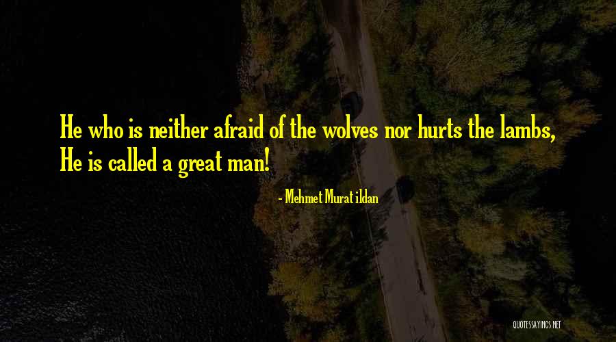 Tsanev Brothers Quotes By Mehmet Murat Ildan Tsanev Brothers Quotes By Mehmet Murat Ildan