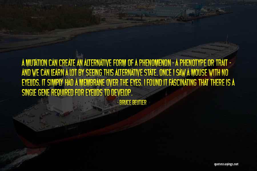 Tsangarides Winery Quotes By Bruce Beutler Tsangarides Winery Quotes By Bruce Beutler