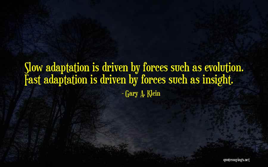Tsarfati Europe Quotes By Gary A. Klein Tsarfati Europe Quotes By Gary A. Klein
