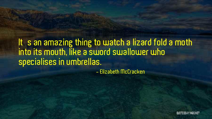 Tsarouhas Law Quotes By Elizabeth McCracken Tsarouhas Law Quotes By Elizabeth McCracken