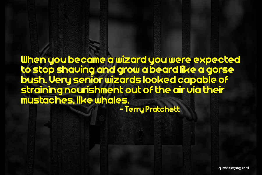 Tsatsa Gabor Quotes By Terry Pratchett Tsatsa Gabor Quotes By Terry Pratchett