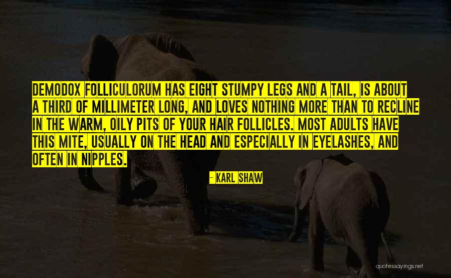 Tsavoussis Quotes By Karl Shaw Tsavoussis Quotes By Karl Shaw