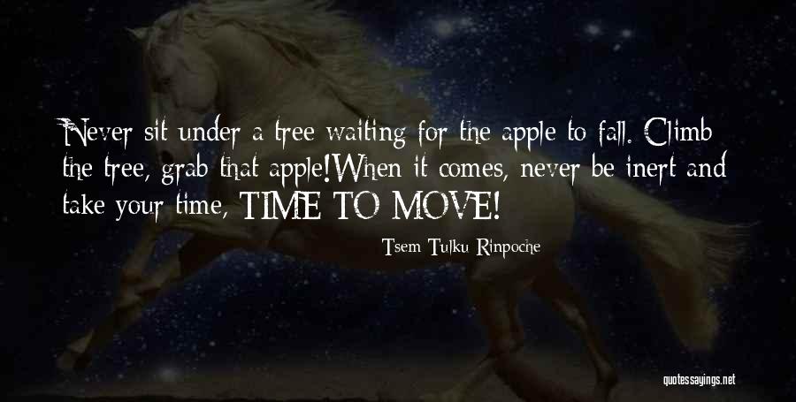 Tsem Tulku Rinpoche Quotes 1310066