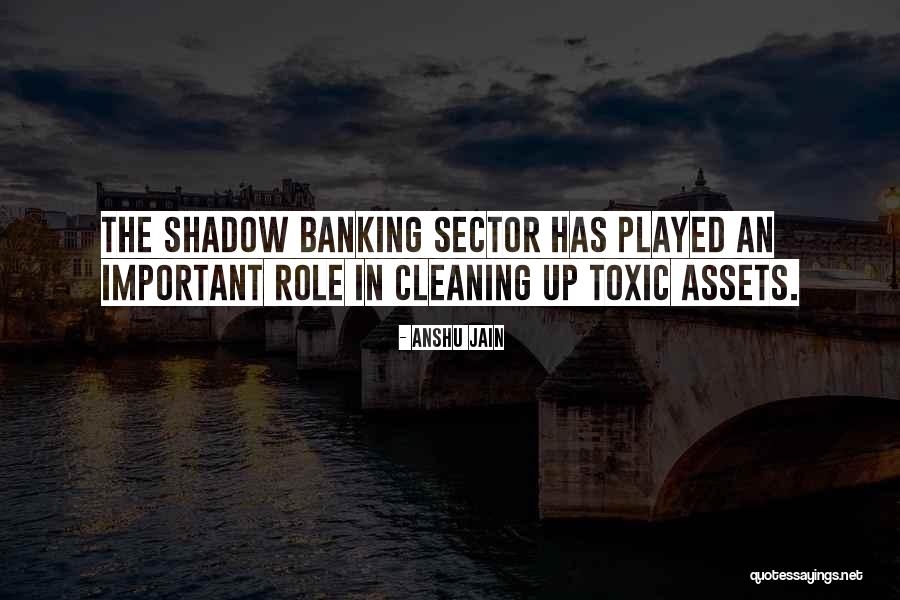 Tserouf Quotes By Anshu Jain Tserouf Quotes By Anshu Jain