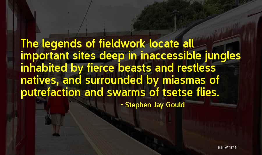 Tsetse Quotes By Stephen Jay Gould Tsetse Quotes By Stephen Jay Gould