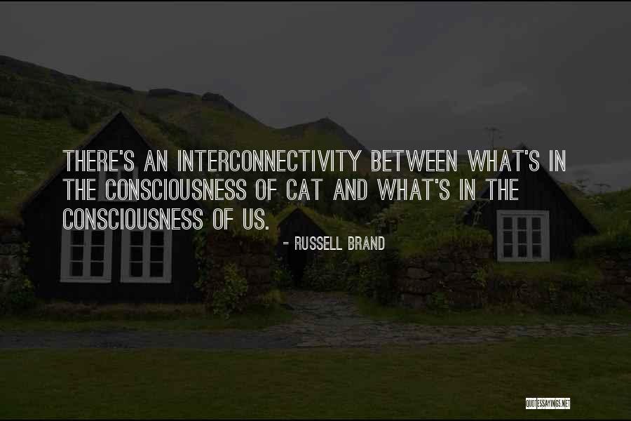 Tshireletso Training Quotes By Russell Brand Tshireletso Training Quotes By Russell Brand