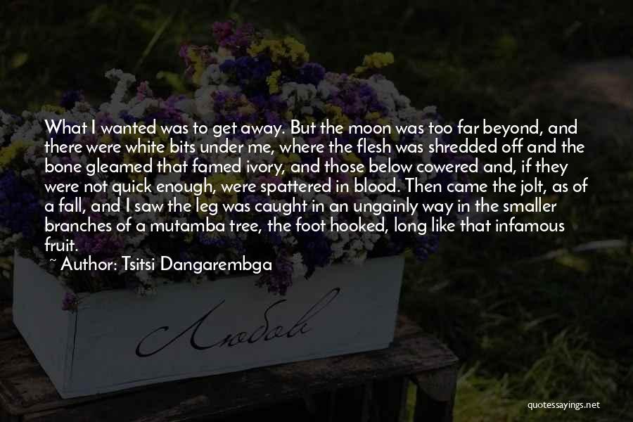 Tsitsi Dangarembga Quotes 1224240