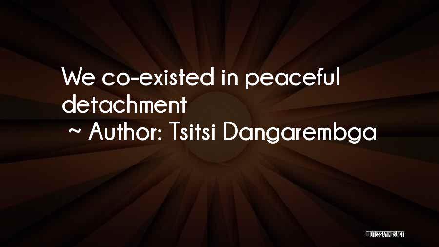 Tsitsi Dangarembga Quotes 2195584