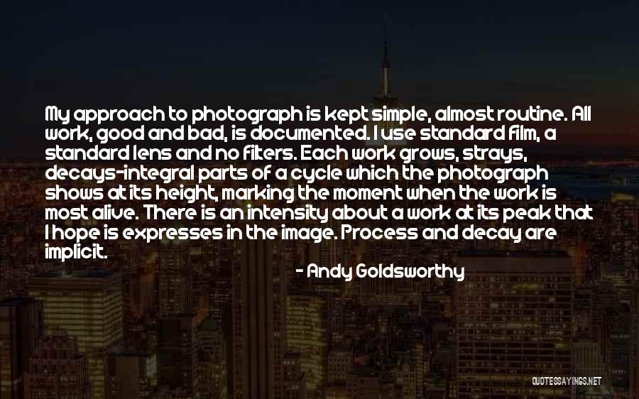 Tsitsipas Stefanos Quotes By Andy Goldsworthy Tsitsipas Stefanos Quotes By Andy Goldsworthy