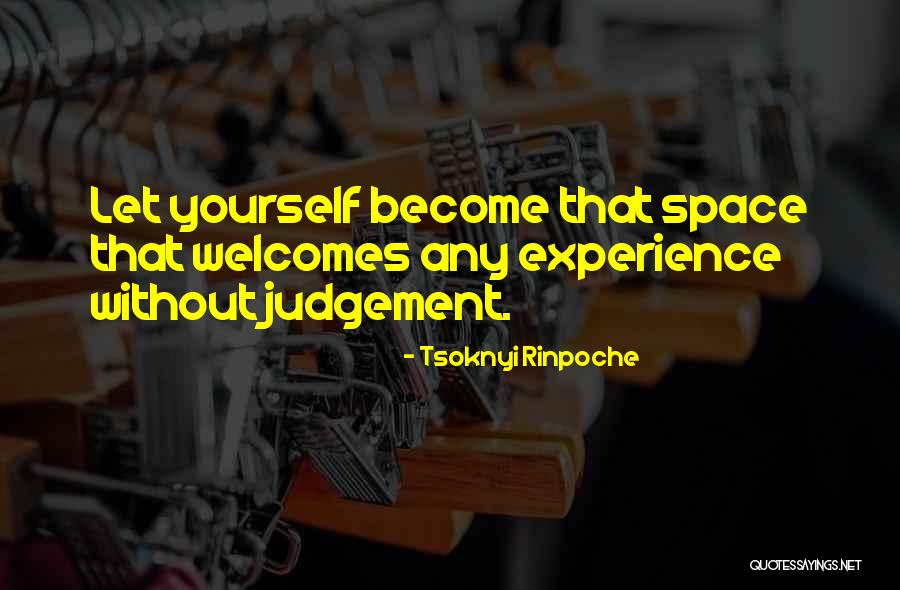Tsoknyi Rinpoche Quotes 2238086