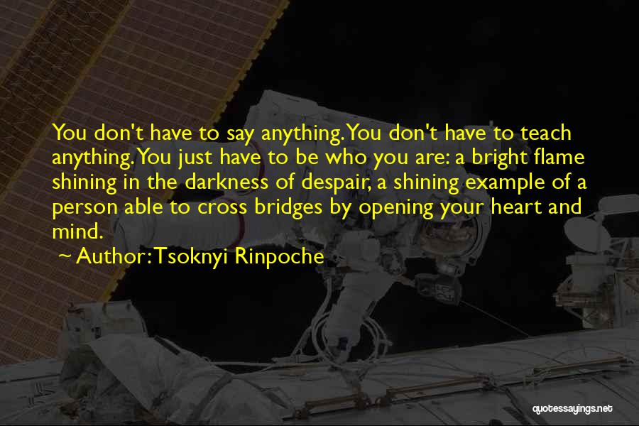 Tsoknyi Rinpoche Quotes 667132