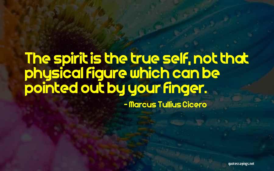 Tsonga Funny Quotes By Marcus Tullius Cicero Tsonga Funny Quotes By Marcus Tullius Cicero