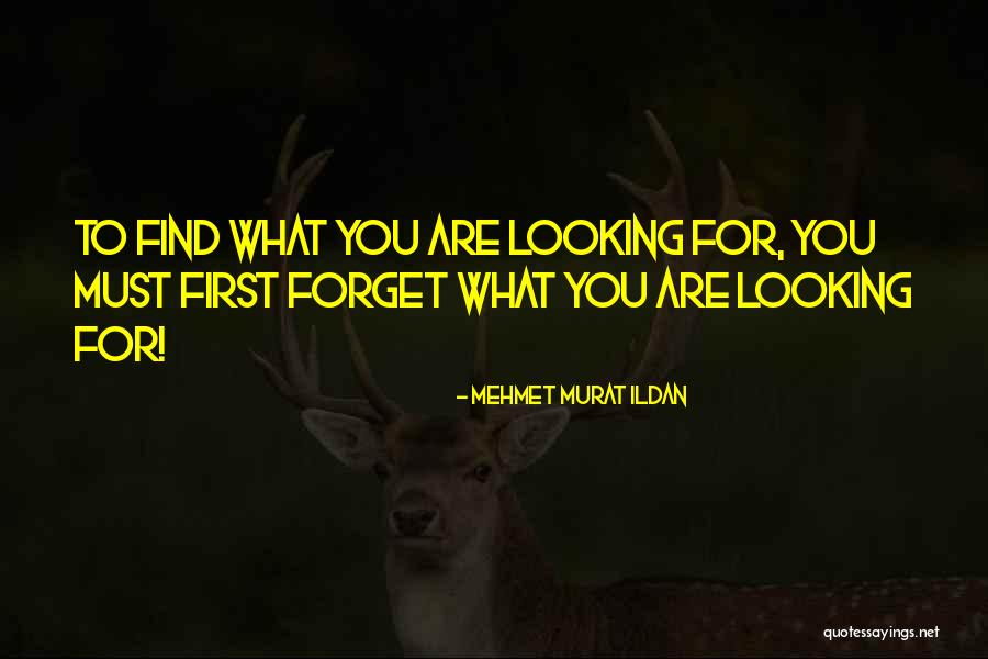 Tsubota Labs Quotes By Mehmet Murat Ildan Tsubota Labs Quotes By Mehmet Murat Ildan