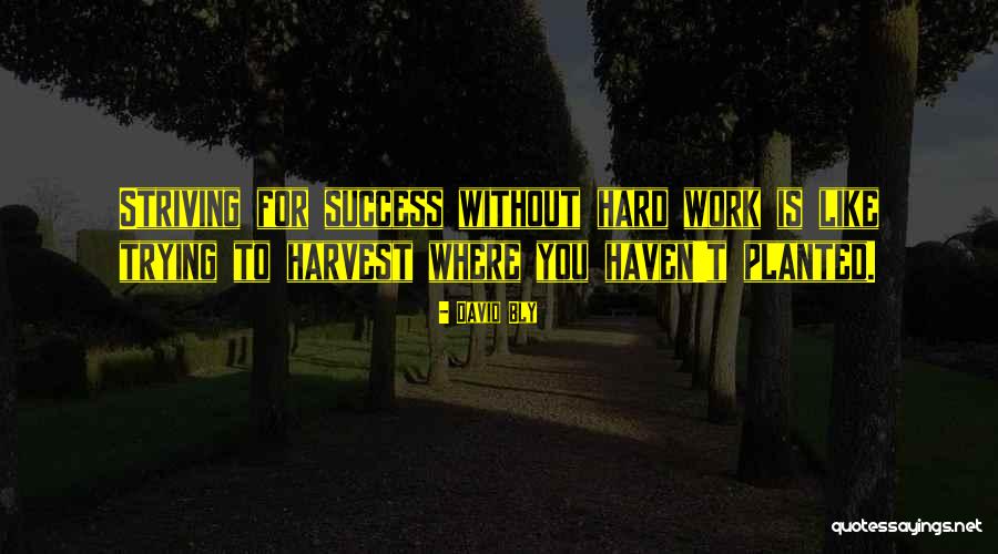 Tsuga Canadensis Quotes By David Bly Tsuga Canadensis Quotes By David Bly