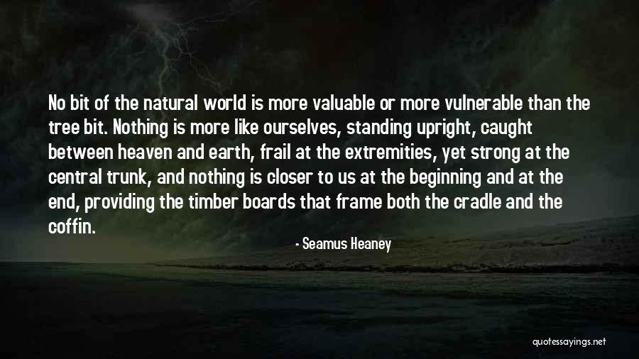 Tsugumi Morimoto Quotes By Seamus Heaney Tsugumi Morimoto Quotes By Seamus Heaney