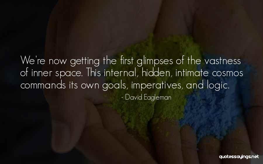 Tsujihara Warner Quotes By David Eagleman Tsujihara Warner Quotes By David Eagleman