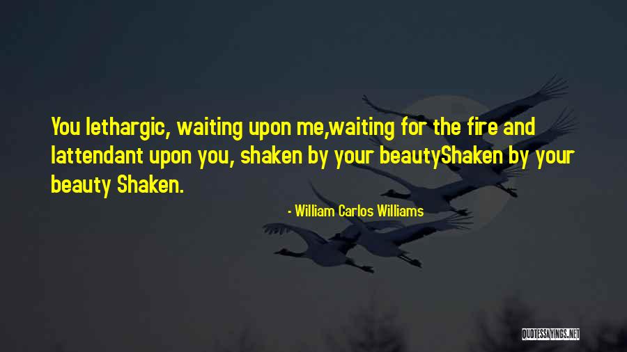 Tsujimura And Associates Quotes By William Carlos Williams Tsujimura And Associates Quotes By William Carlos Williams